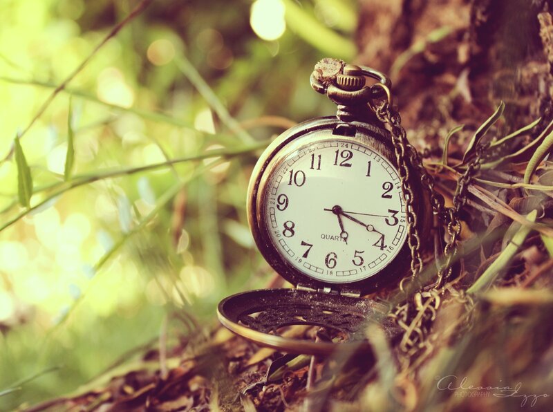Antique Pocket Watch — Green, Serene, Afternoon