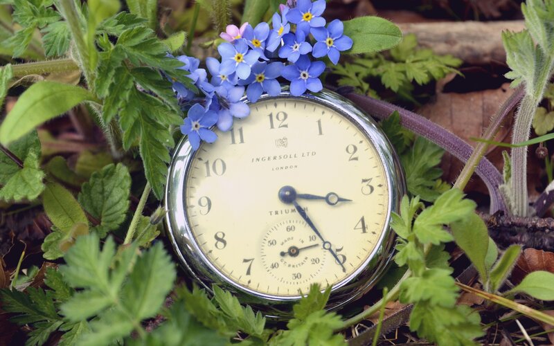 Antique Pocket Watch — Green, Serene, Spring