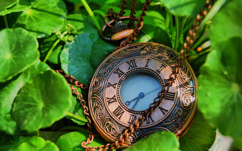 antique pocket watch in green leaves