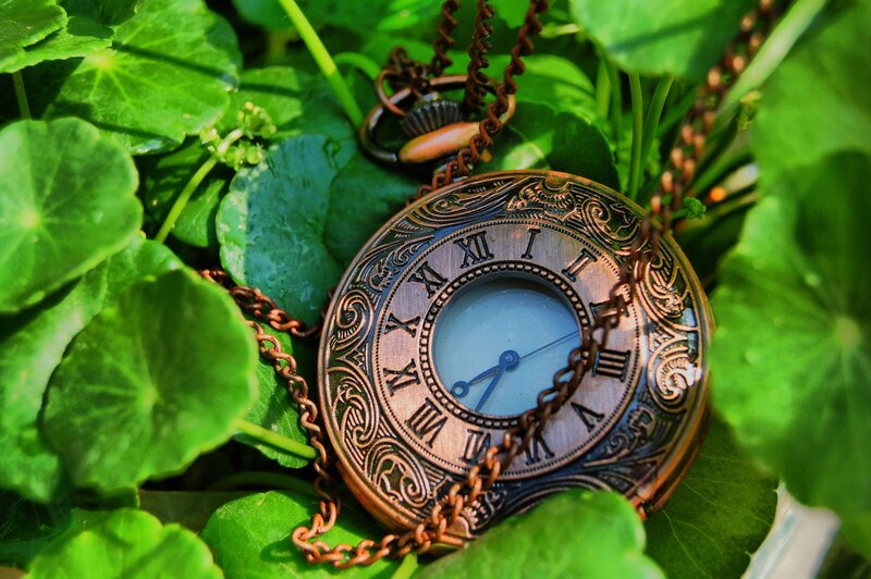 antique pocket watch in green leaves
