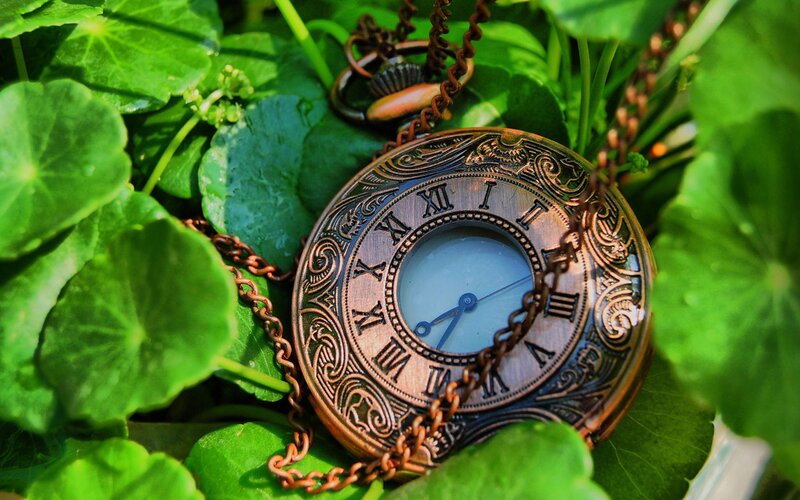 antique pocket watch in green leaves