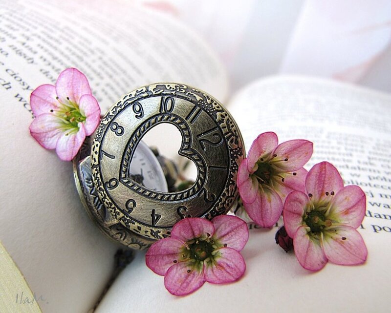 Antique Pocket Watch — Pink, Serene
