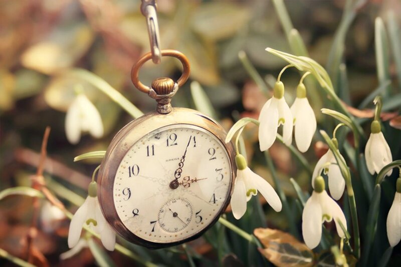 Antique Pocket Watch — White, Serene, Spring, Photograph, Snowdrops