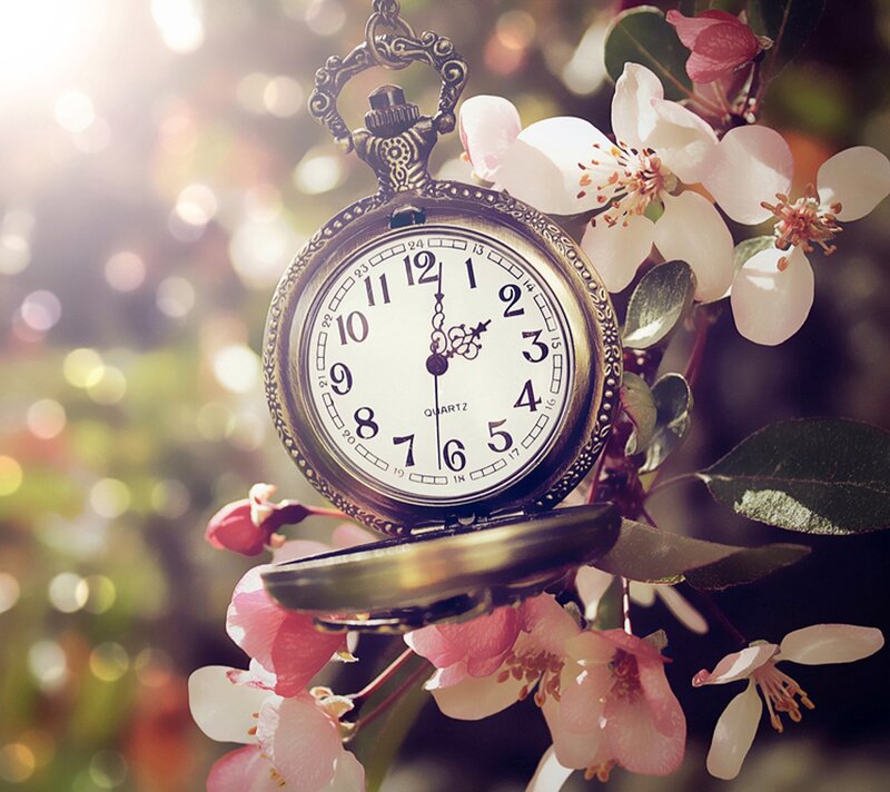 Antique Pocket Watch — White, Serene, Spring
