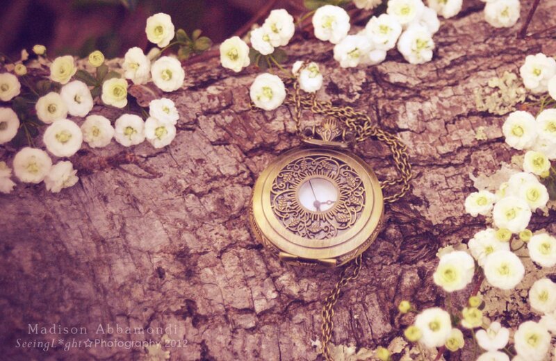Antique Pocket Watch — White, Serene
