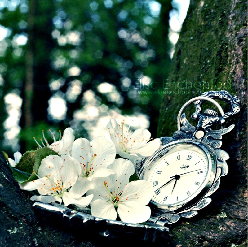 Antique Pocket Watch with Flowers