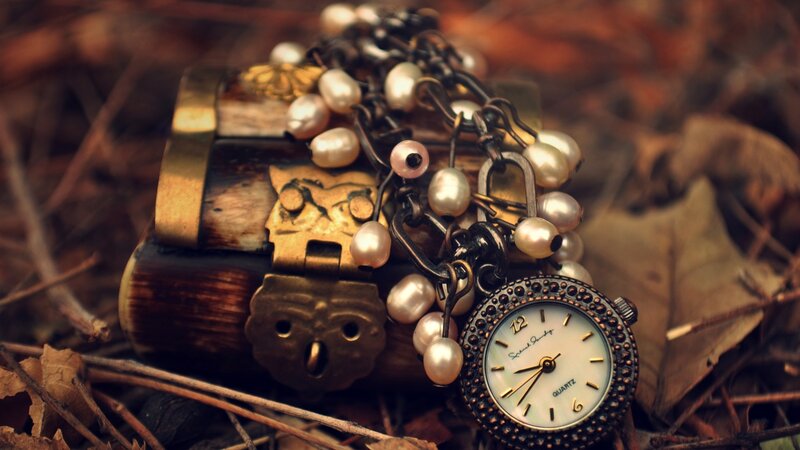 Antique Watch and Chest — Brown