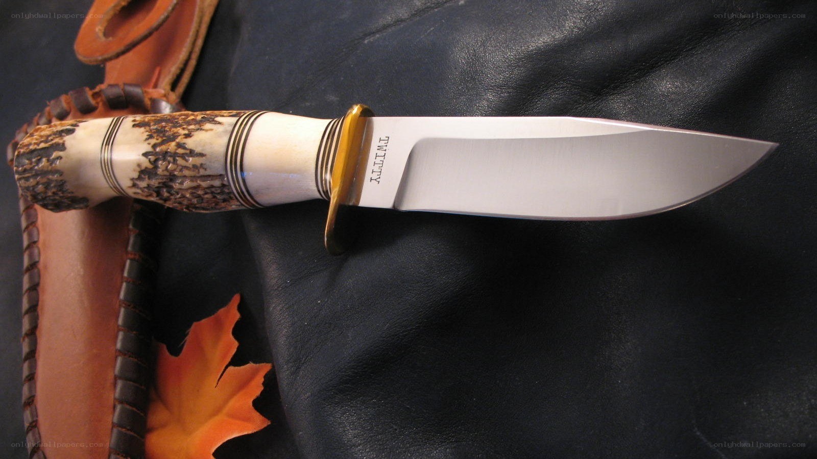antler-handled knife with sheath