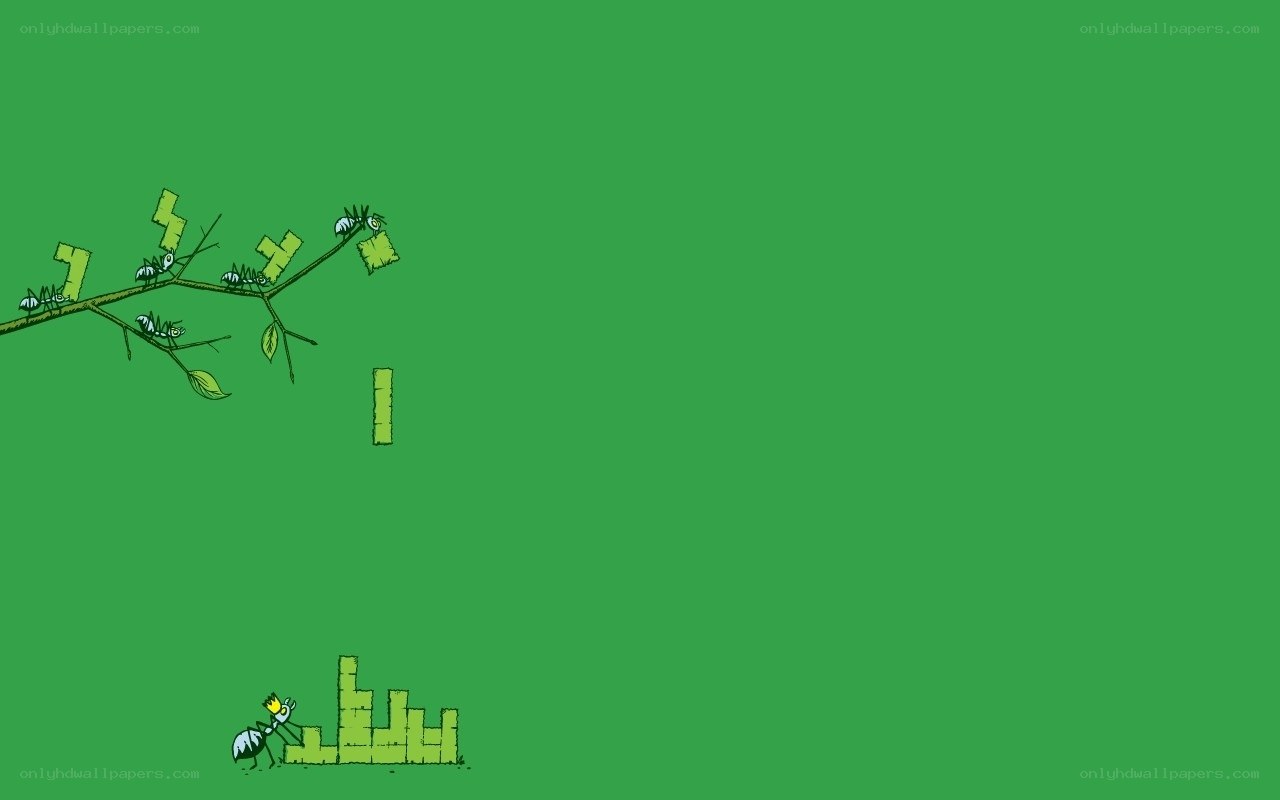 ants building a structure
