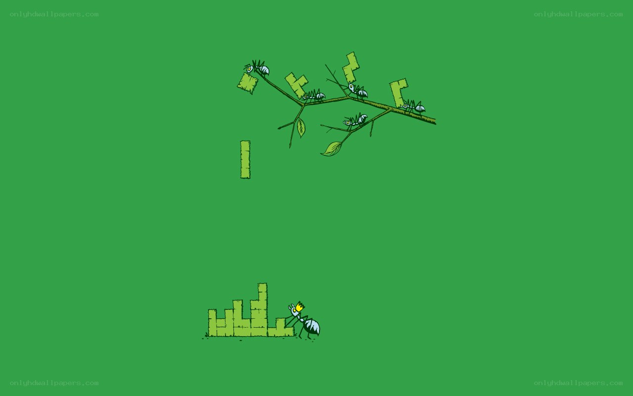 ants carrying leaves