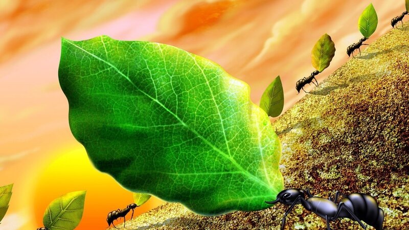 Ants Carrying Leaves — Green
