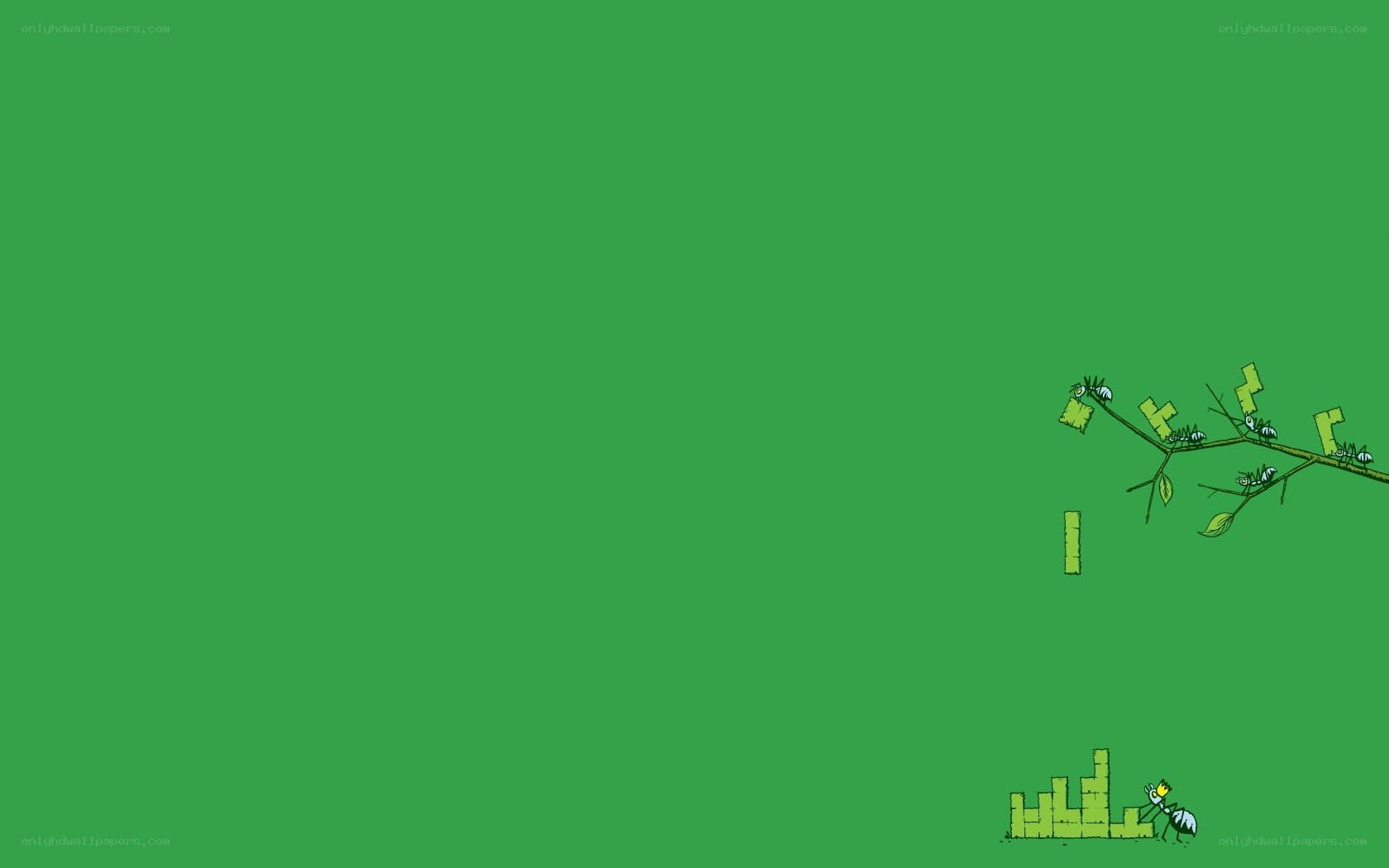 ants carrying leaves