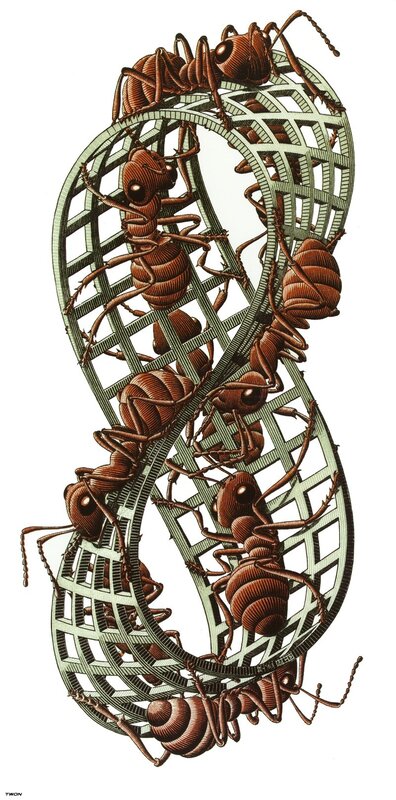 Ants in a Möbius strip