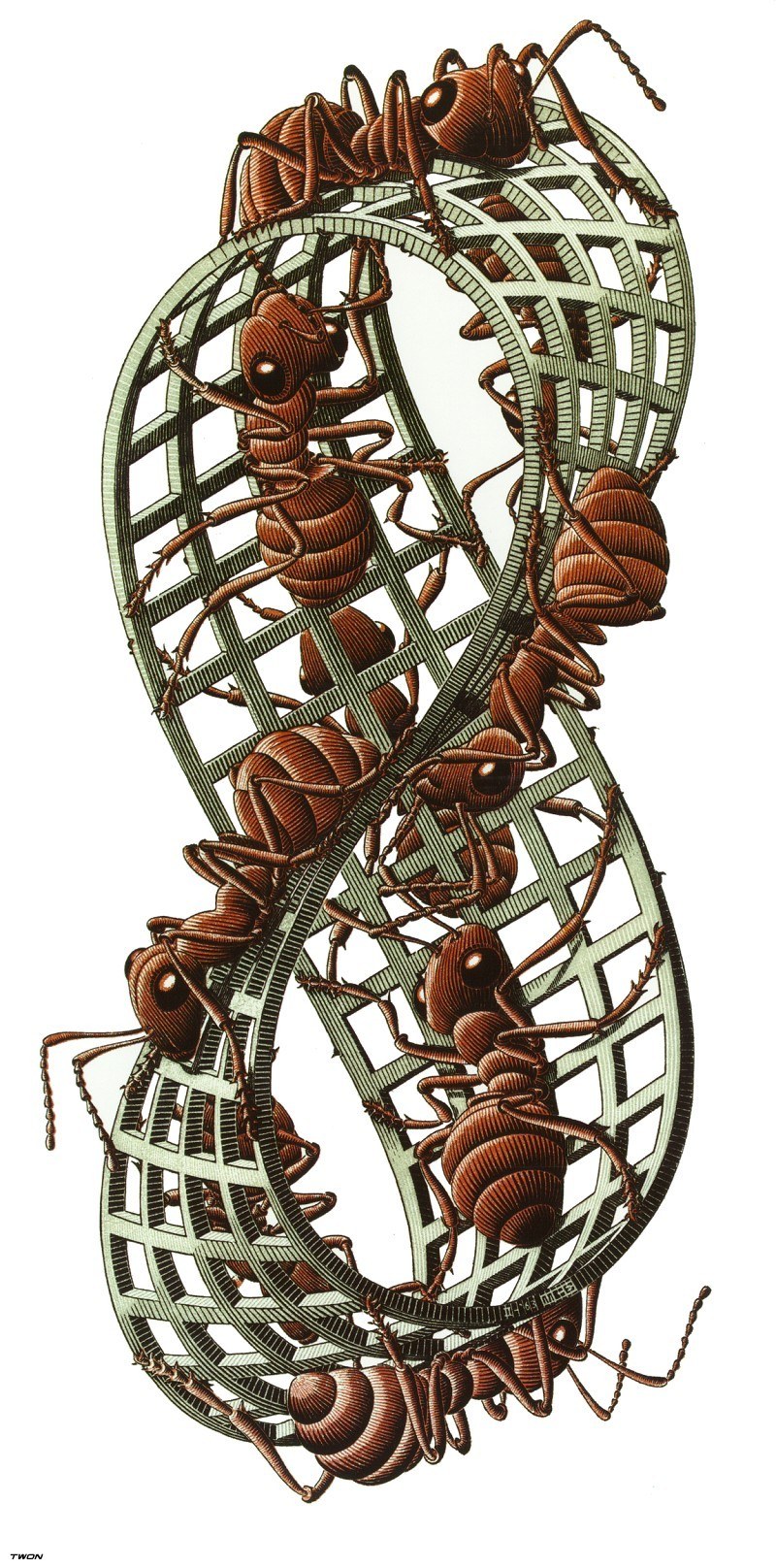 Ants in a Möbius strip