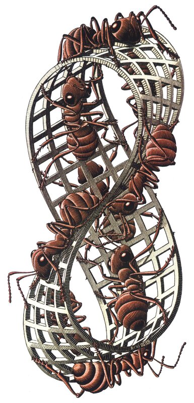 Ants in a Mobius Strip