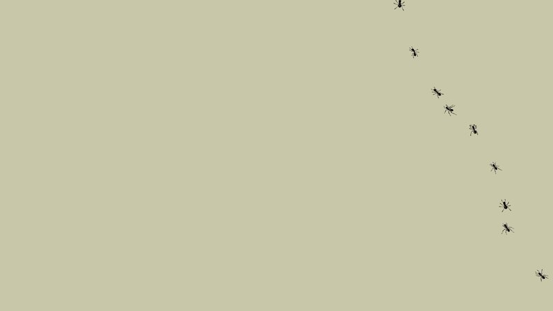Ants Marching in a Line — Beige