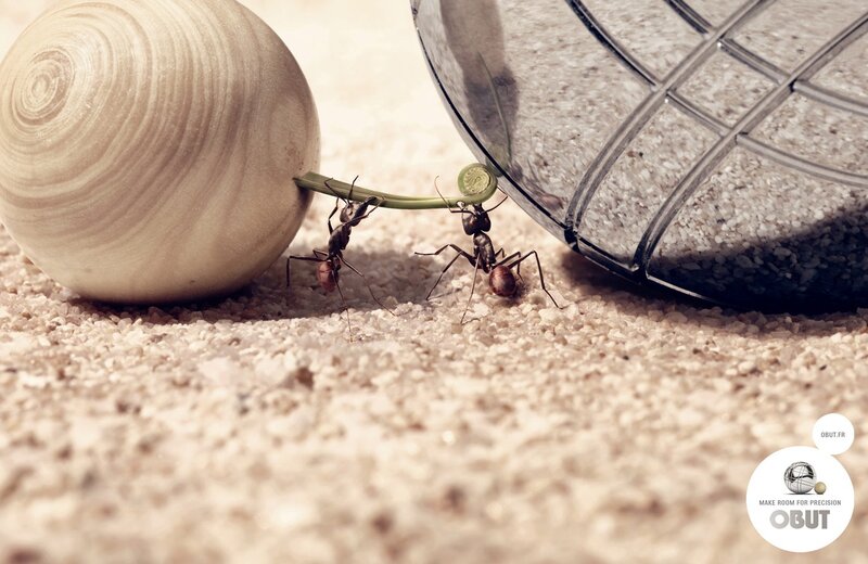 ants moving a leaf in sand