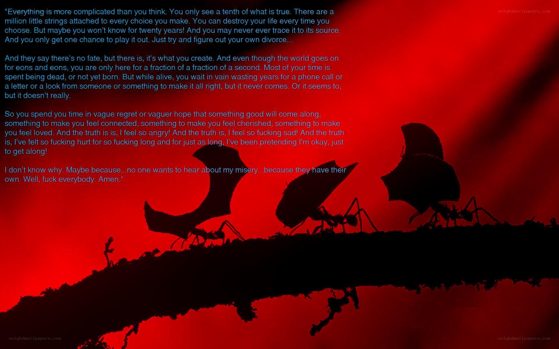 ants on a branch with text