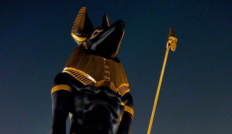 Anubis Statue at Night