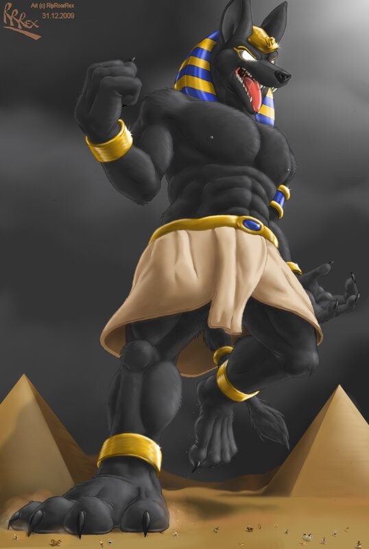 Anubis warrior in desert