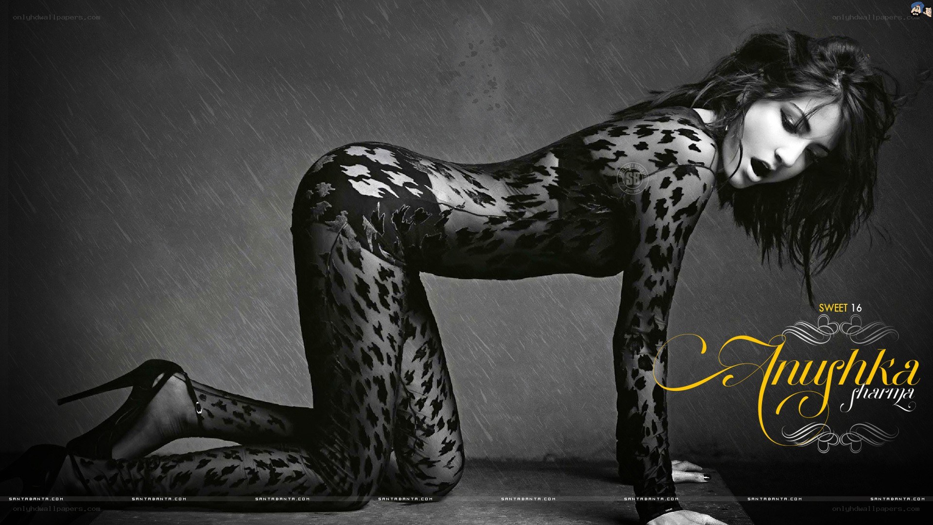 Anushka Sharma in leopard print