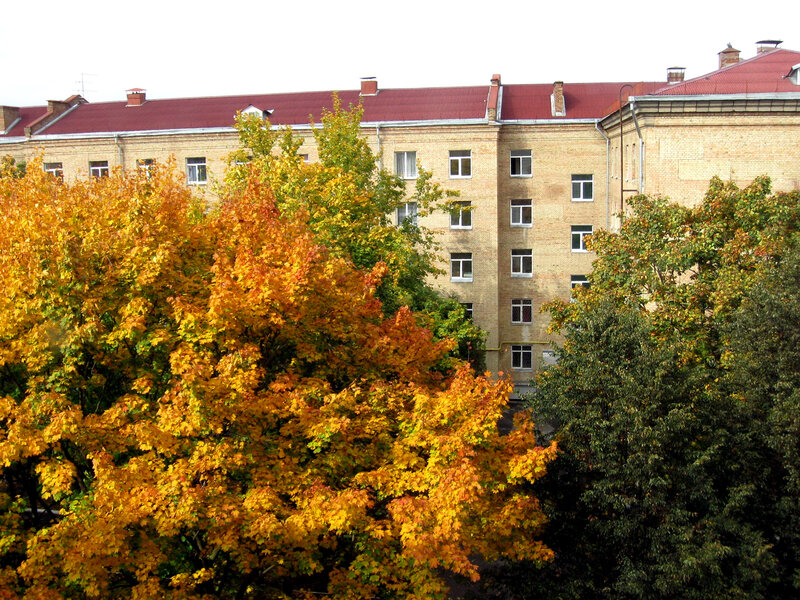 Apartment Building with Trees