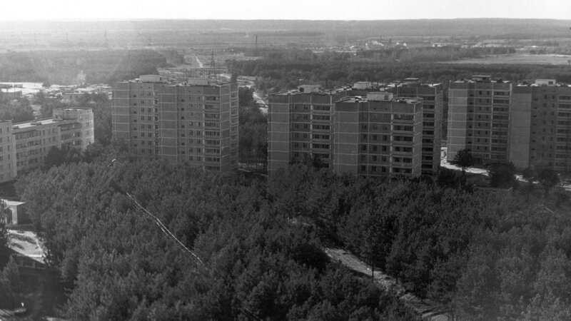 apartment buildings in a forested area