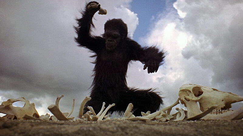 Ape Holding Bone — Brown