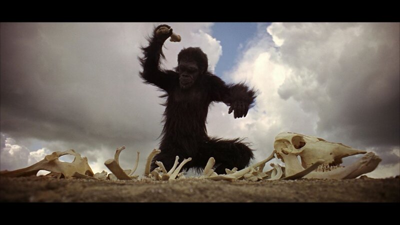 Ape Holding Bone