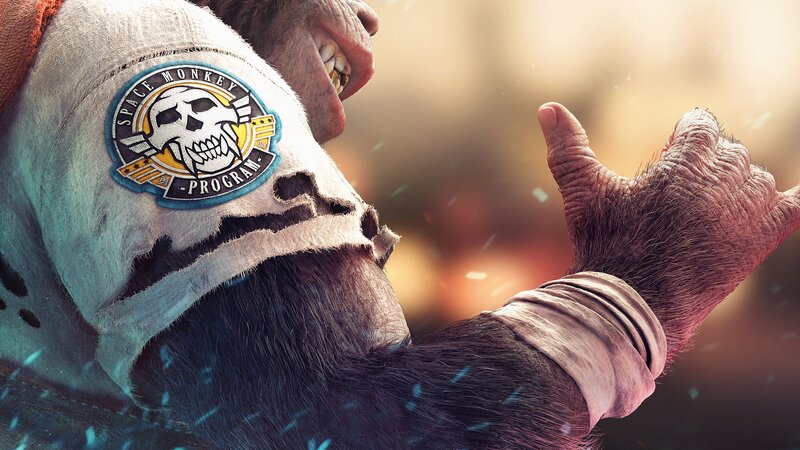 Ape in Torn Jacket