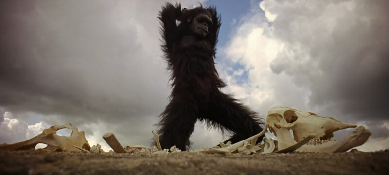 ape stands over bones