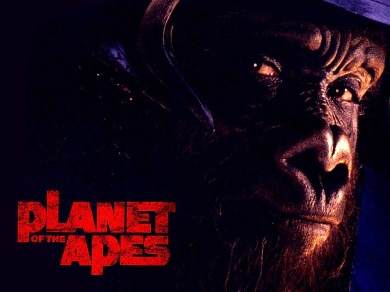 Ape Wearing Hat