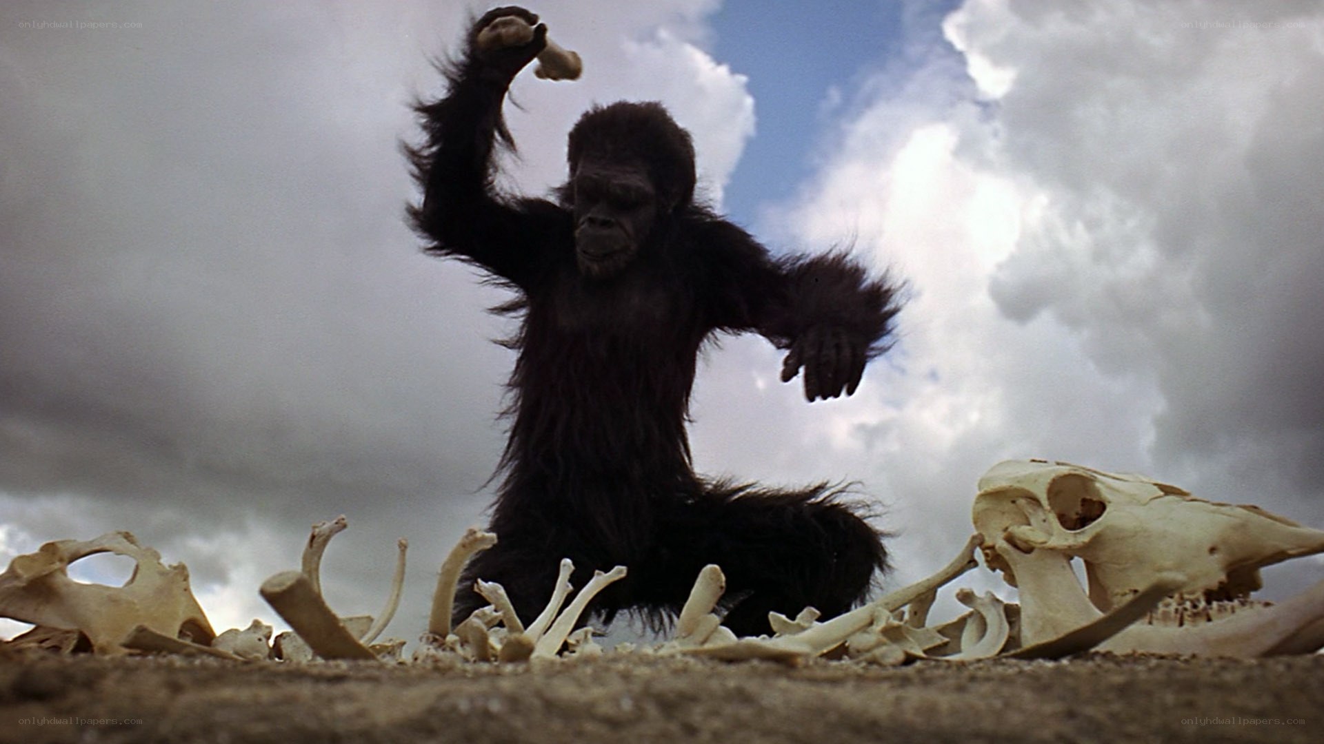 ape with bone in hand