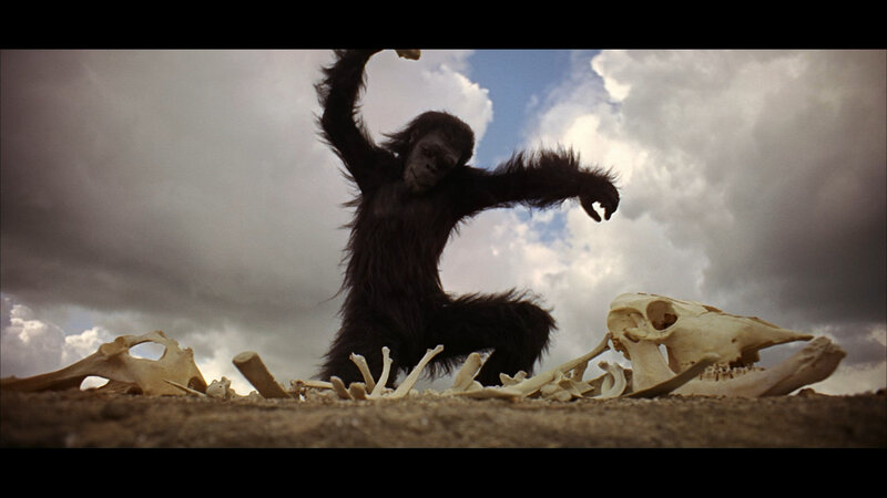 ape with bones in desert