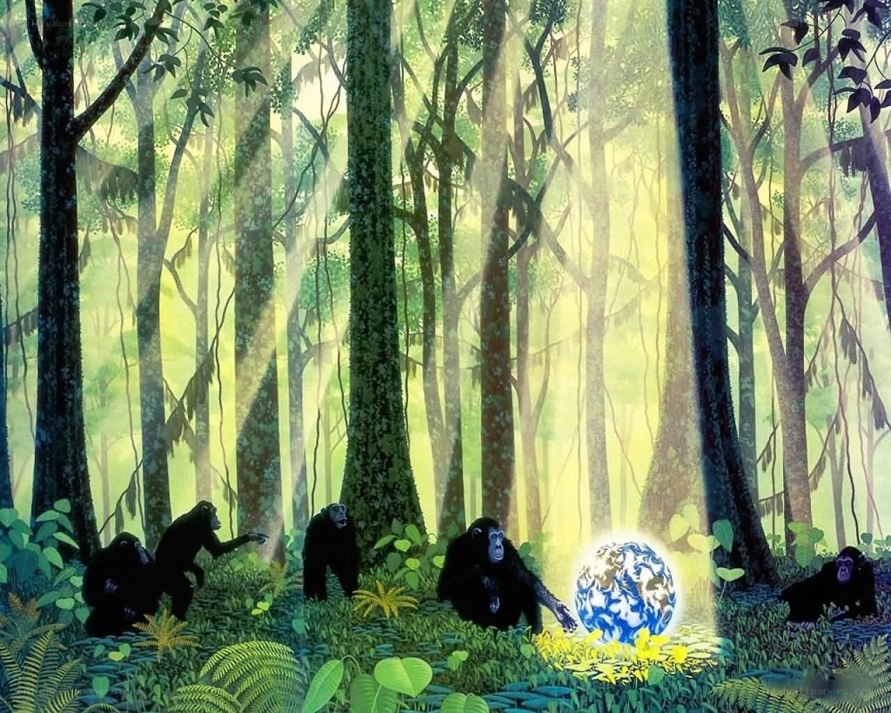 apes in a forest with glowing orb