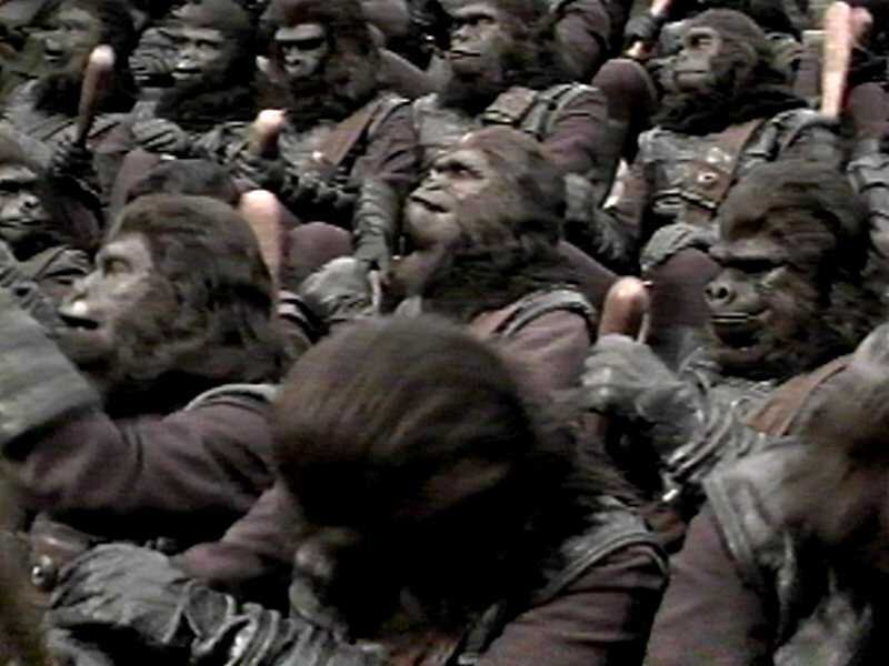 Apes in Armor — Brown
