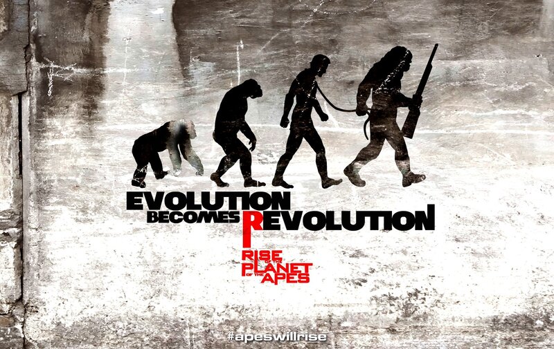 Apes in Evolution Sequence