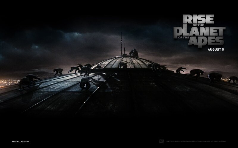 Apes on a building roof