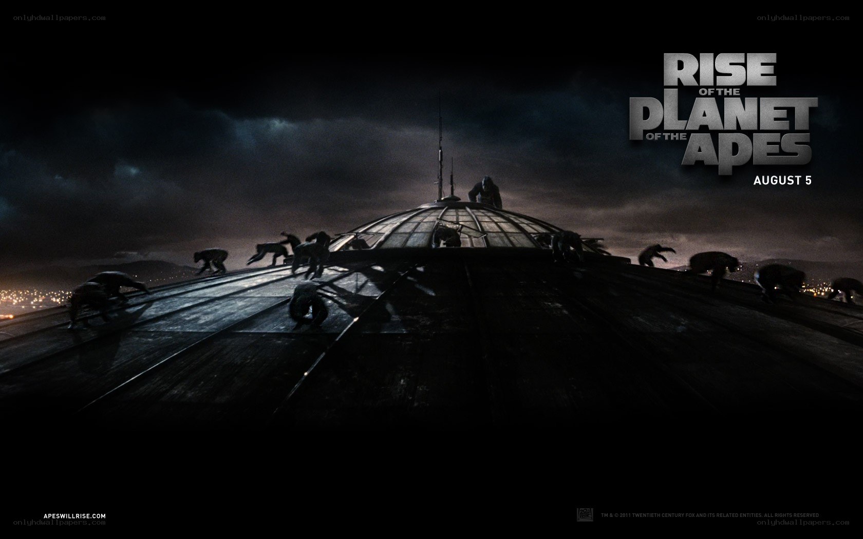 Apes on a building roof