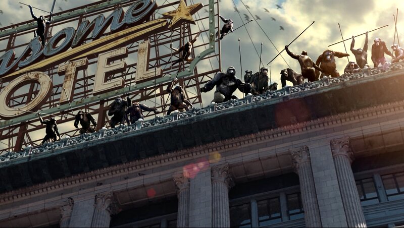 Apes on a hotel roof