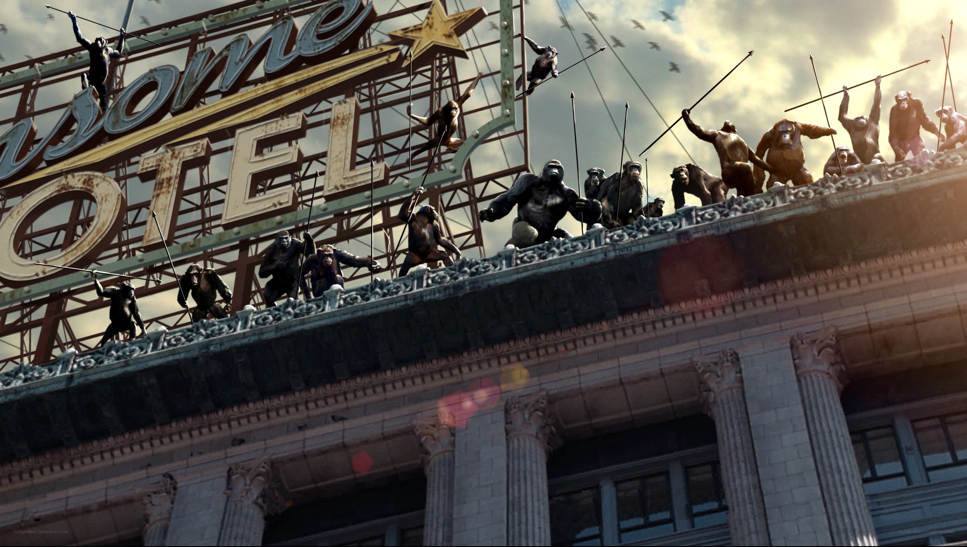 Apes on a hotel roof