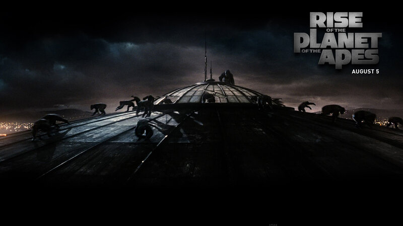 Apes on a Rooftop