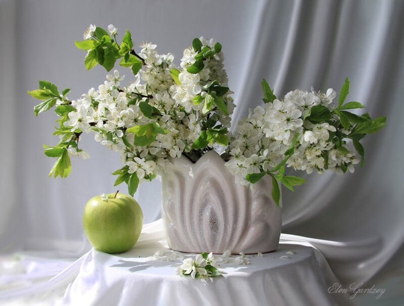 Apple and Blossoms
