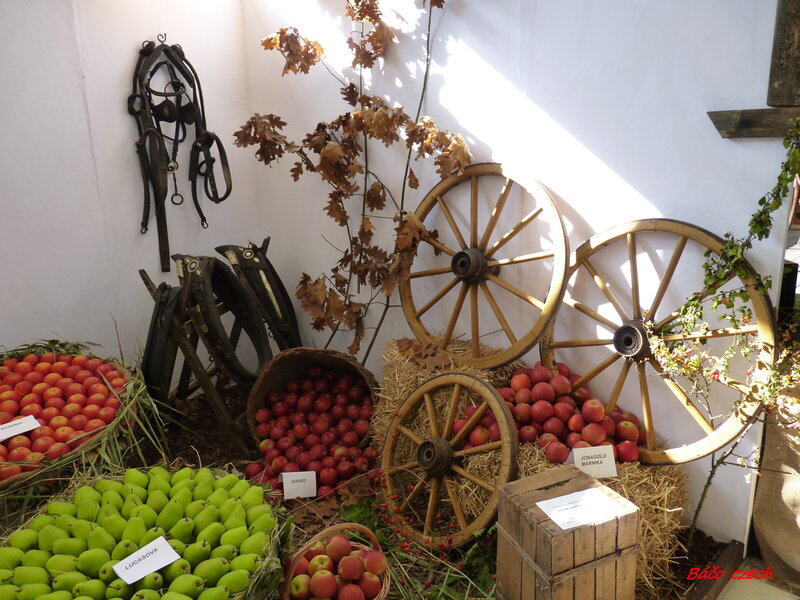 Apple and Pear Display