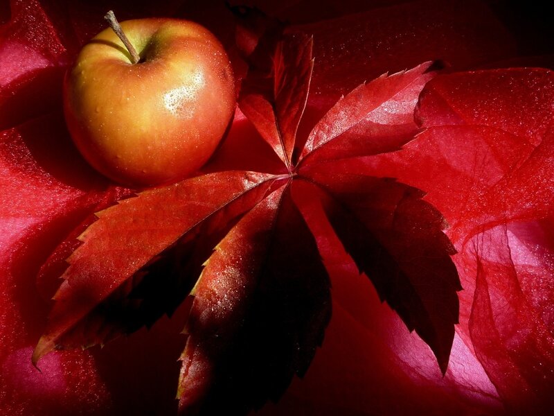 Apple and Red Leaf — Dramatic