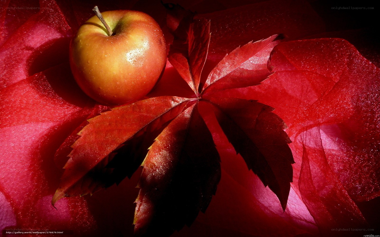 apple and red leaf still life
