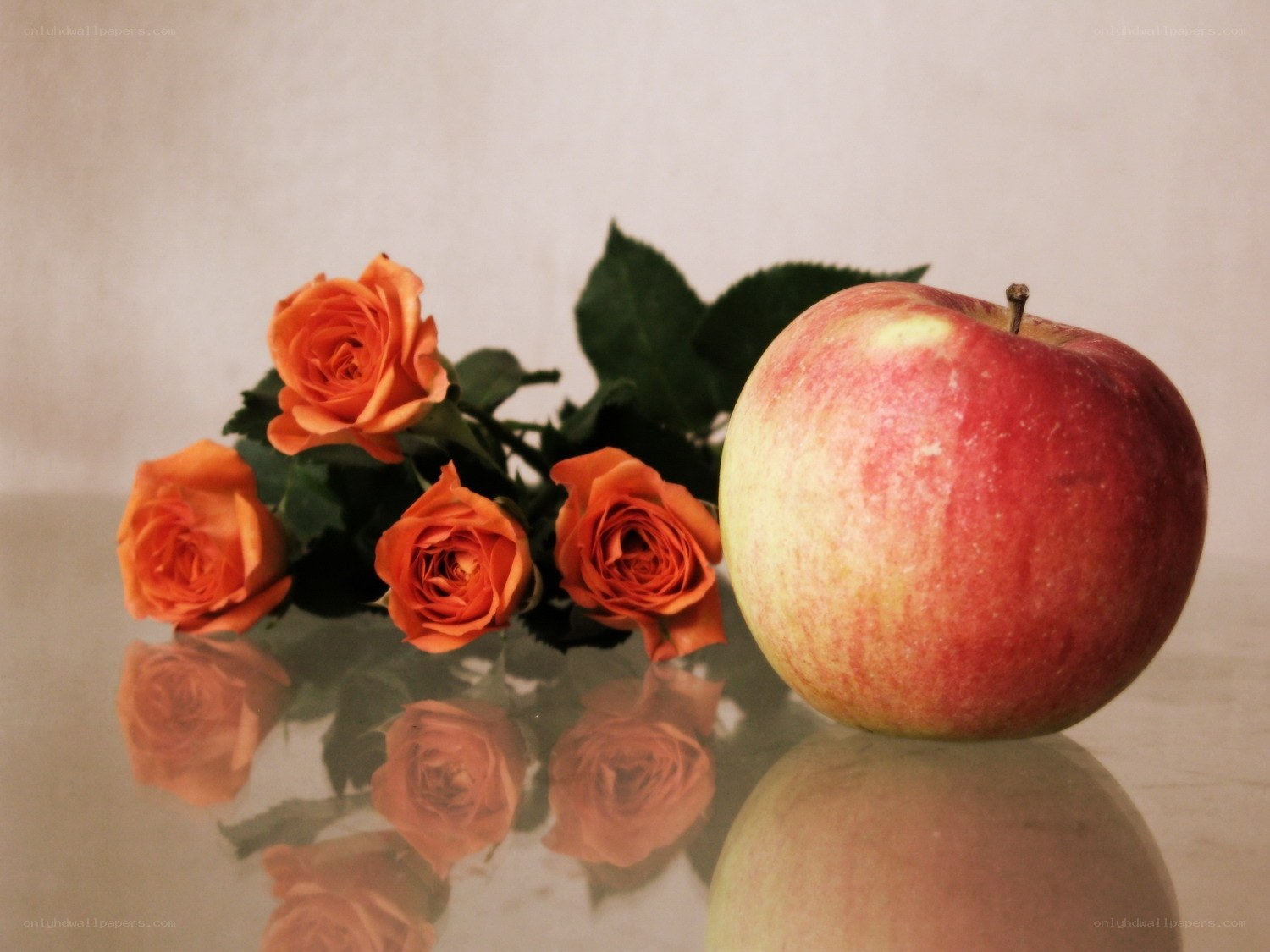 apple and roses on reflective surface