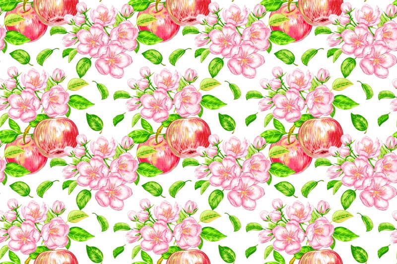 Apple Blossoms and Apples — Pink