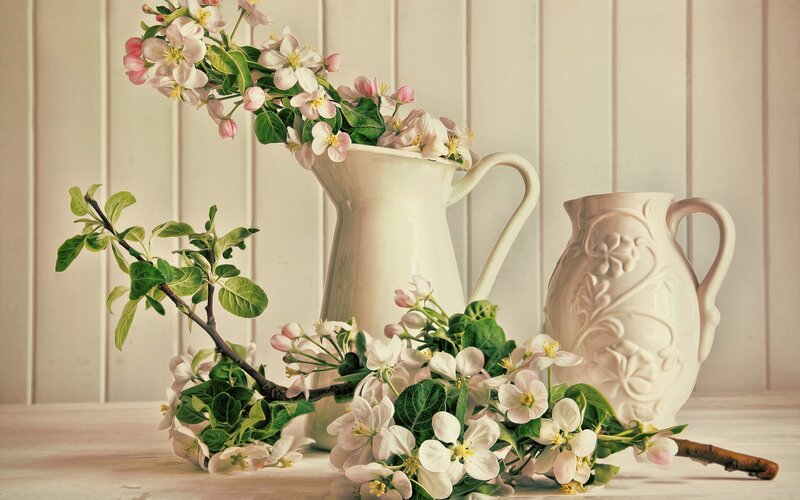Apple Blossoms in Pitchers