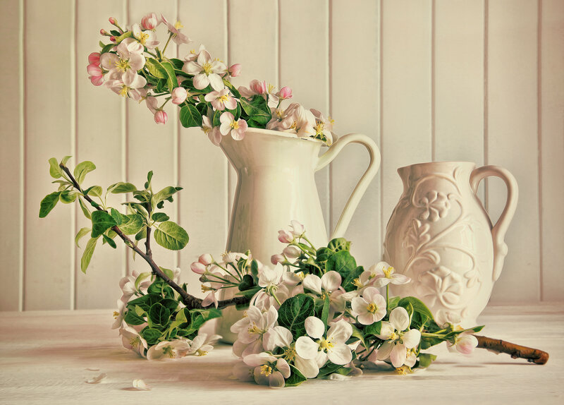 Apple Blossoms in Pitchers — White